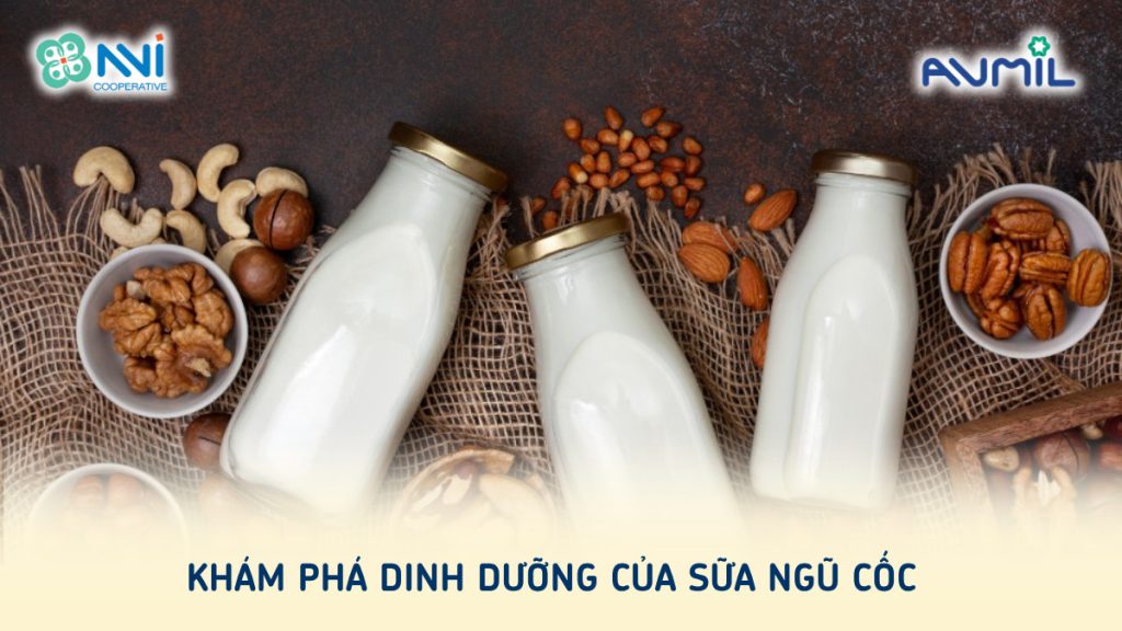 Sữa ngũ cốc là sữa gì? Những ai không nên uống ngũ cốc?