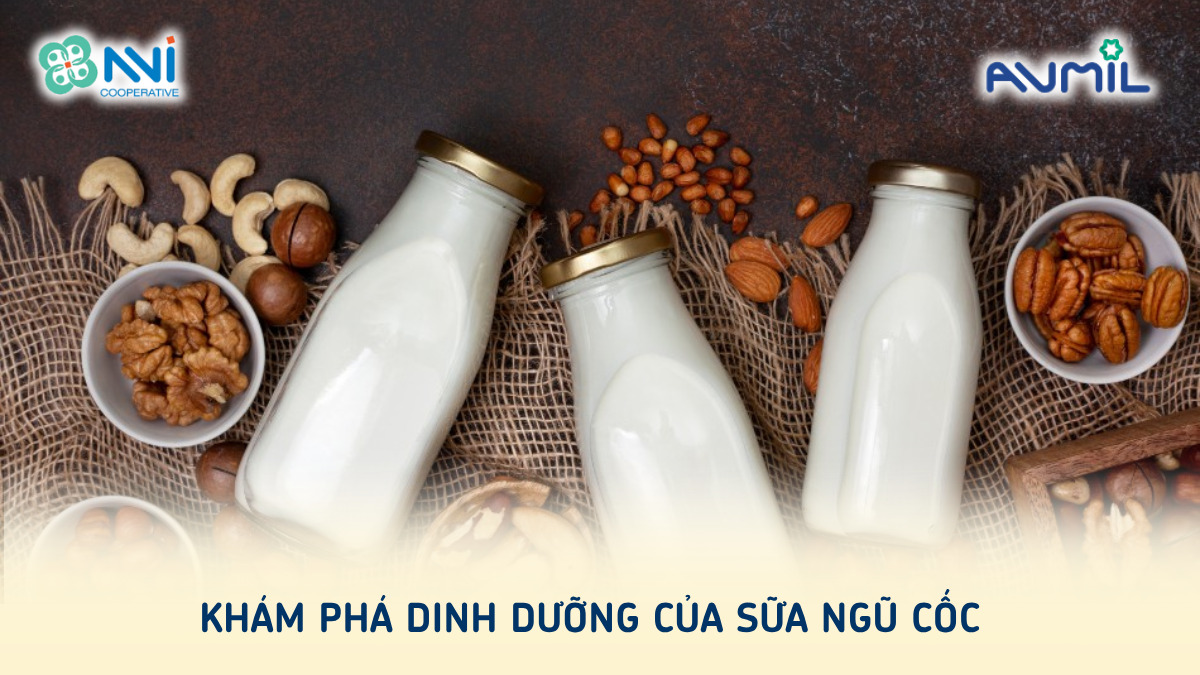 Sữa ngũ cốc là sữa gì? Những ai không nên uống ngũ cốc?