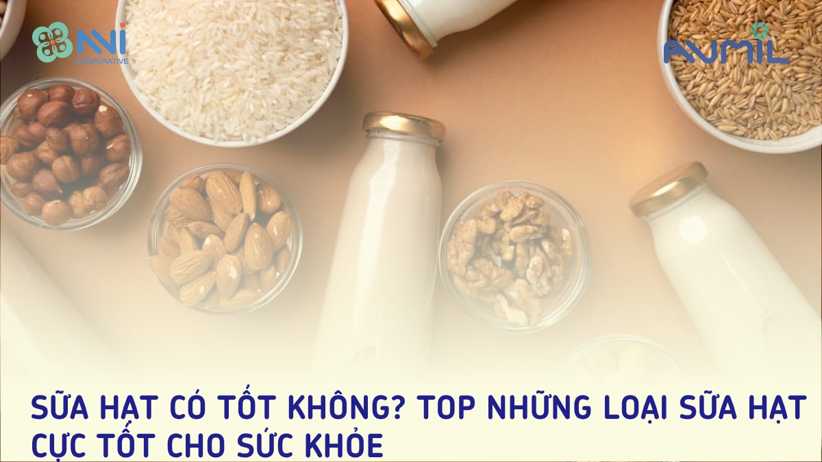 Sữa hạt có tốt không? TOP những loại sữa hạt cực tốt cho sức khỏe