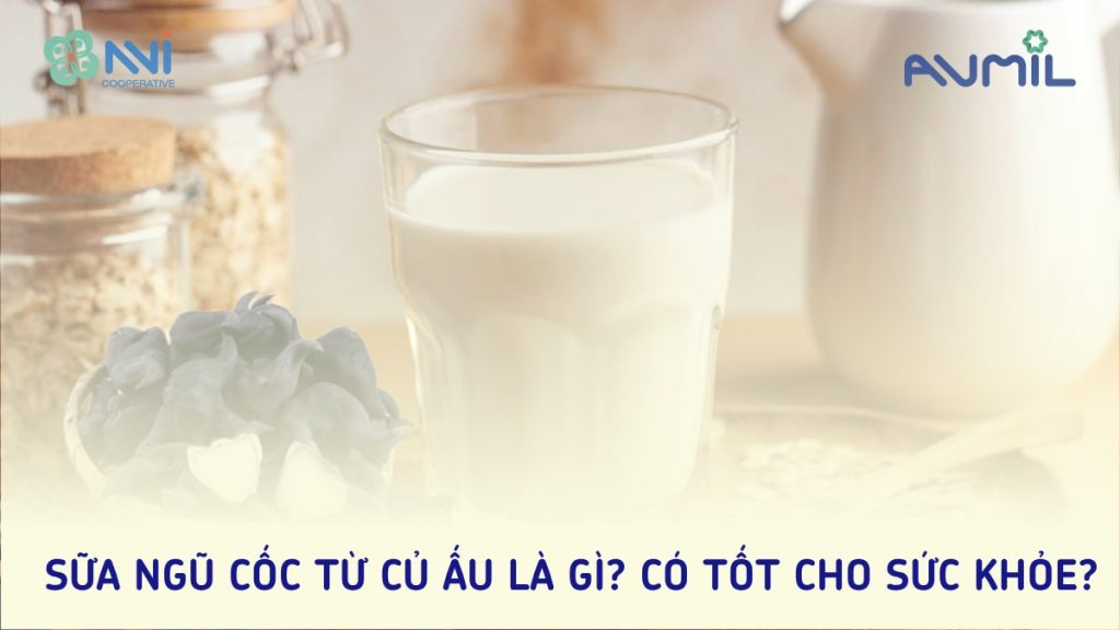 Sữa ngũ cốc từ củ ấu là gì? Có tốt cho sức khỏe?