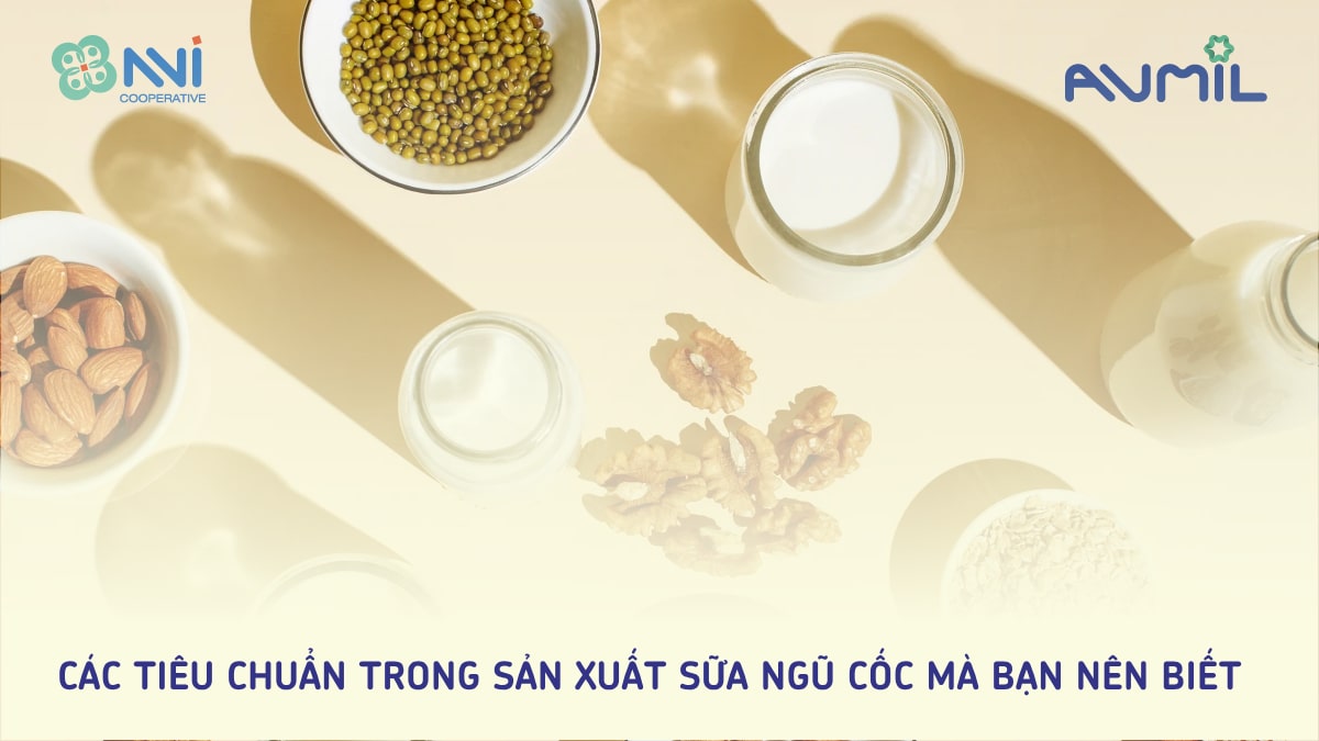 Các tiêu chuẩn trong sản xuất sữa ngũ cốc mà bạn nên biết
