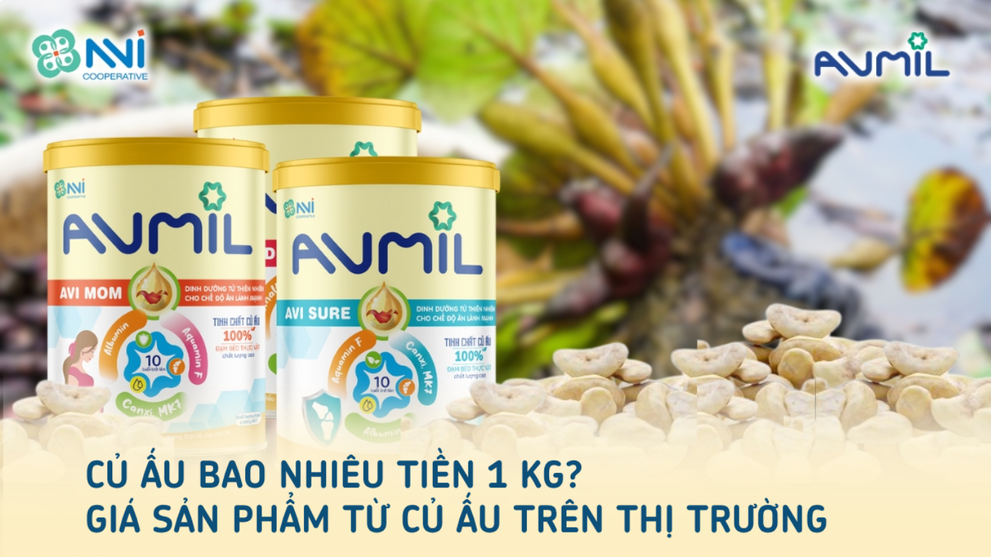 Củ ấu bao nhiêu tiền 1kg? Giá sản phẩm từ củ ấu trên thị trường