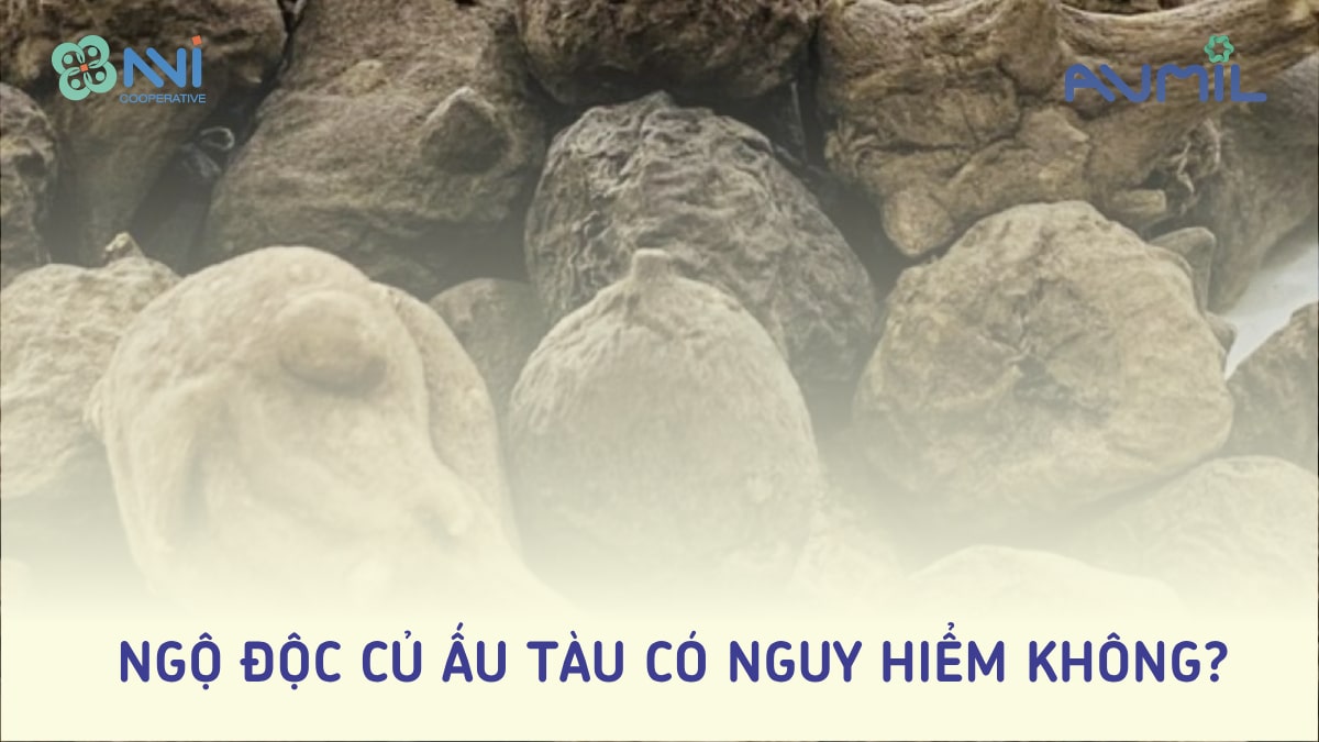 Ngộ độc củ ấu tàu có nguy hiểm không?