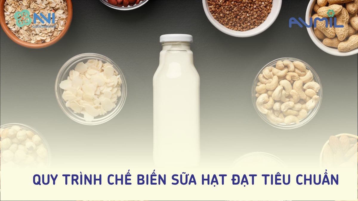 Quy trình chế biến sữa hạt đạt tiêu chuẩn