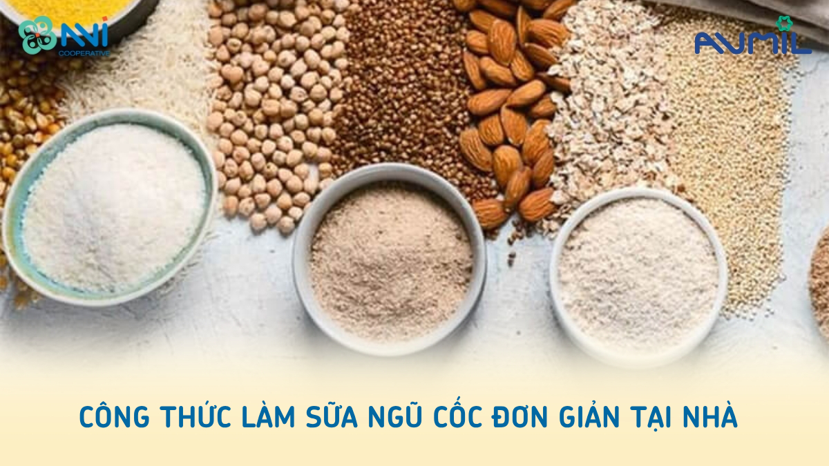 Công thức làm sữa ngũ cốc đơn giản tại nhà