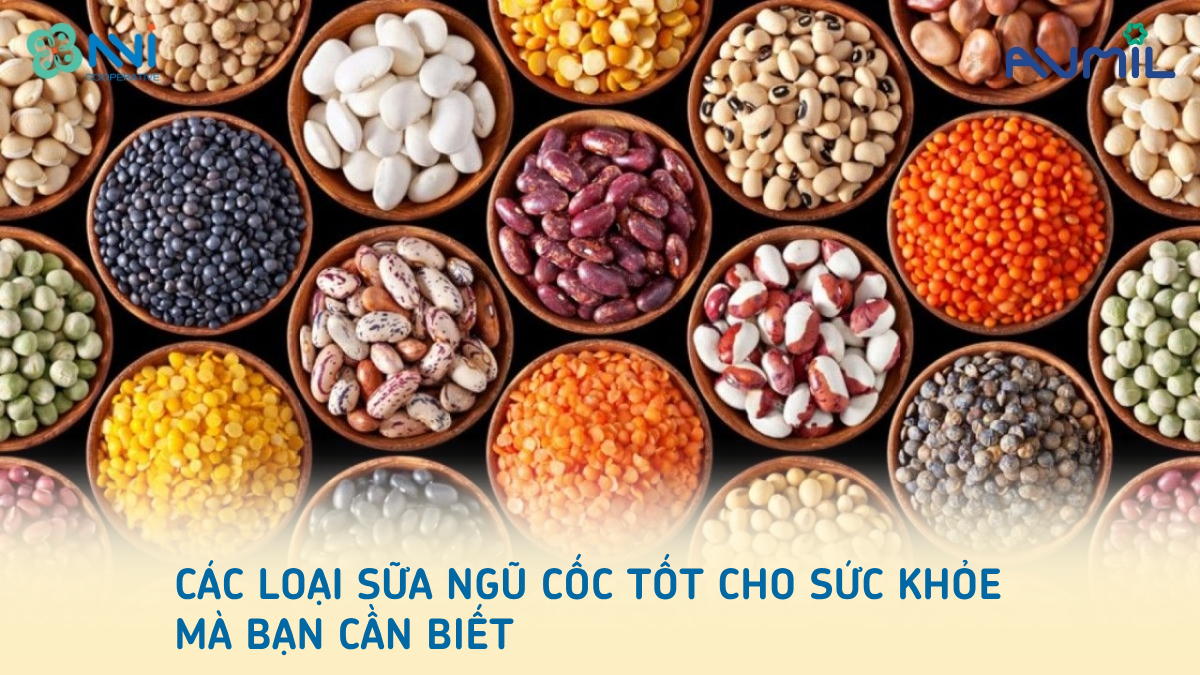Các loại sữa ngũ cốc tốt cho sức khỏe mà bạn cần biết