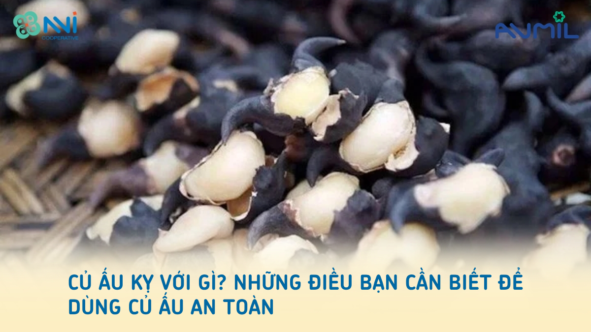 Củ ấu kỵ với gì