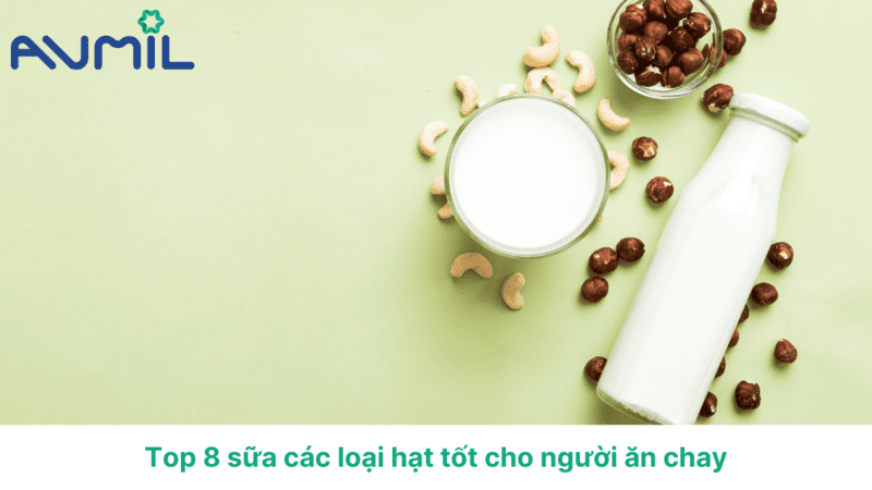 Top 8 sữa các loại hạt tốt cho người ăn chay