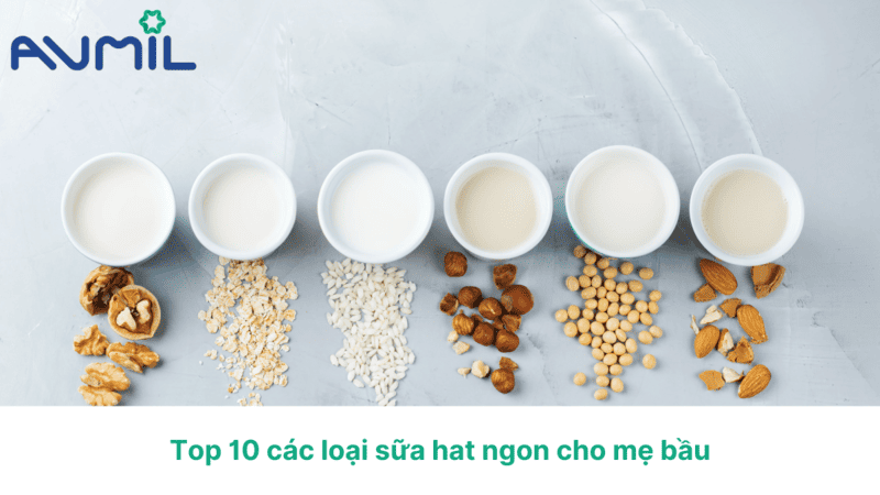 các loại sữa hạt ngon