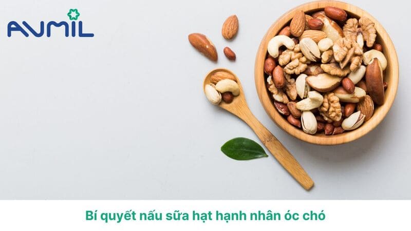 nấu sữa hạt hạnh nhân óc chó